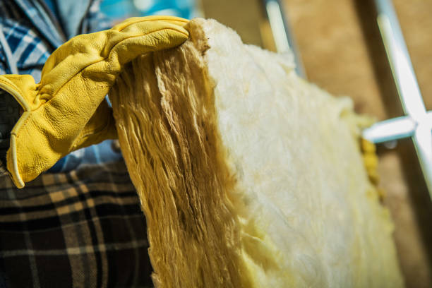 Best Geographic-Specific Insulation Services in Lutcher, LA