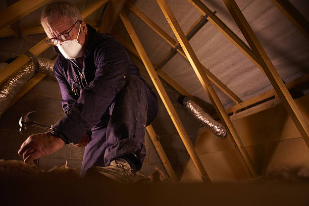 Best Energy Efficiency Insulation in Lutcher, LA
