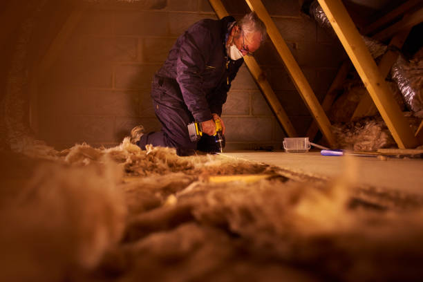 Best Blown-in Insulation in Lutcher, LA